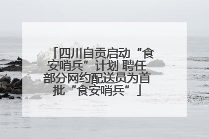 四川自贡启动“食安哨兵”计划 聘任部分网约配送员为首批“食安哨兵”