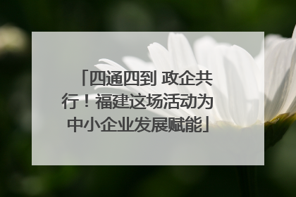 四通四到 政企共行！福建这场活动为中小企业发展赋能