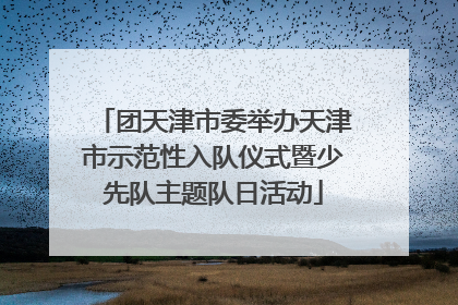 团天津市委举办天津市示范性入队仪式暨少先队主题队日活动