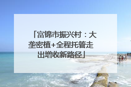 富锦市振兴村：大垄密植+全程托管走出增收新路径