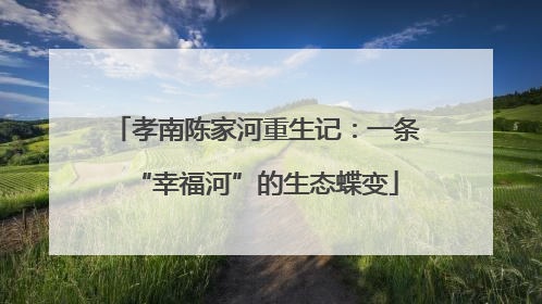 孝南陈家河重生记：一条“幸福河”的生态蝶变