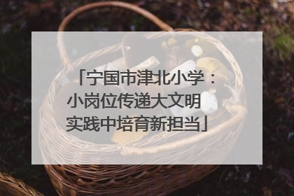 宁国市津北小学：小岗位传递大文明 实践中培育新担当