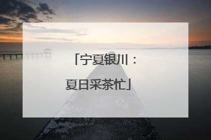 宁夏银川：夏日采茶忙