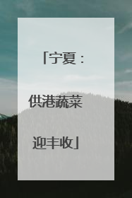 宁夏：供港蔬菜迎丰收
