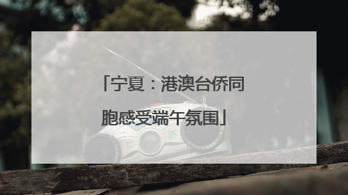宁夏：港澳台侨同胞感受端午氛围