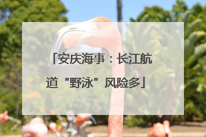 安庆海事：长江航道“野泳”风险多