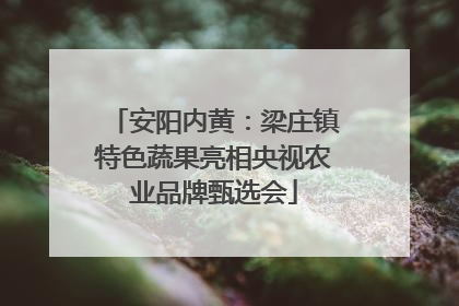 安阳内黄：梁庄镇特色蔬果亮相央视农业品牌甄选会