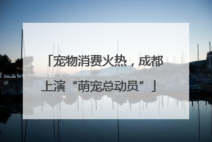 宠物消费火热，成都上演“萌宠总动员”