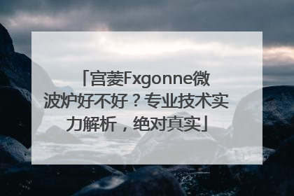 宫菱Fxgonne微波炉好不好？专业技术实力解析，绝对真实
