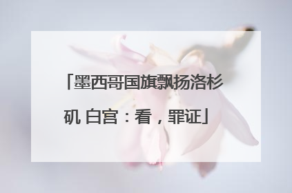 墨西哥国旗飘扬洛杉矶 白宫：看，罪证