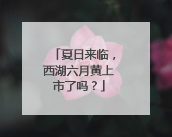 夏日来临，西湖六月黄上市了吗？