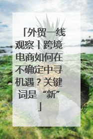 外贸一线观察丨跨境电商如何在不确定中寻机遇？关键词是“新”