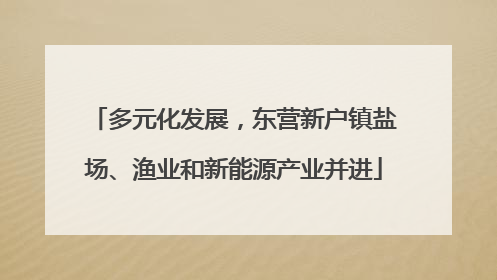 多元化发展，东营新户镇盐场、渔业和新能源产业并进