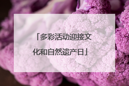 多彩活动迎接文化和自然遗产日