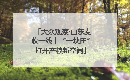 大众观察·山东麦收一线丨“一块田”打开产粮新空间