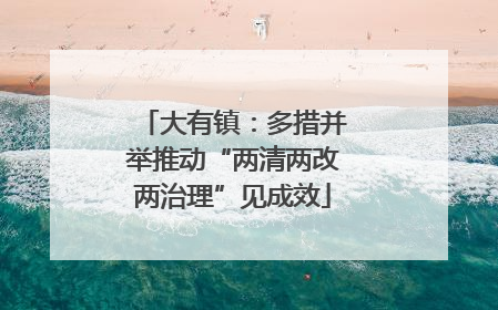 大有镇：多措并举推动“两清两改两治理”见成效