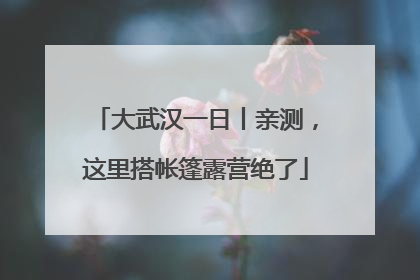 大武汉一日丨亲测，这里搭帐篷露营绝了
