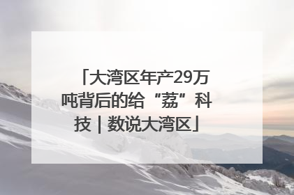 大湾区年产29万吨背后的给“荔”科技｜数说大湾区