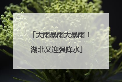 大雨暴雨大暴雨！湖北又迎强降水