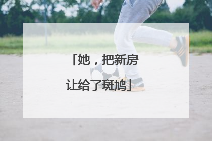 她，把新房让给了斑鸠