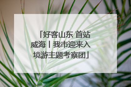 好客山东 首站威海丨我市迎来入境游主题考察团