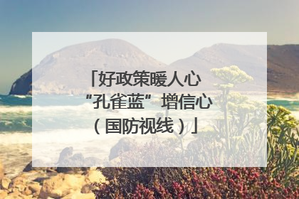 好政策暖人心 “孔雀蓝”增信心（国防视线）
