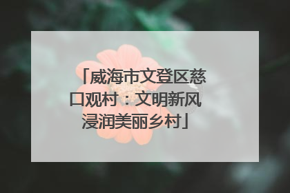 威海市文登区慈口观村：文明新风浸润美丽乡村