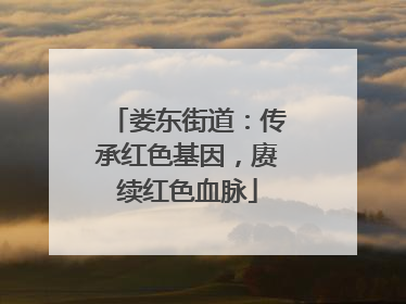 娄东街道：传承红色基因，赓续红色血脉