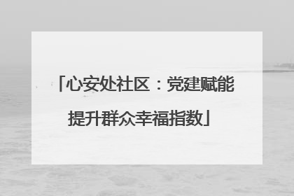 心安处社区：党建赋能 提升群众幸福指数