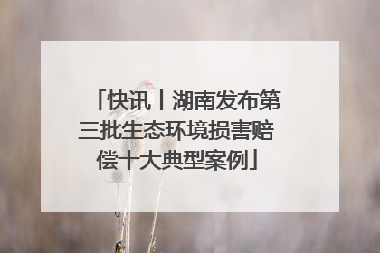 快讯丨湖南发布第三批生态环境损害赔偿十大典型案例