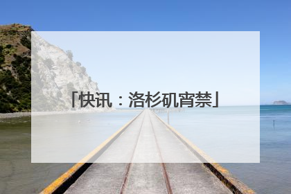 快讯：洛杉矶宵禁