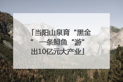 当阳山泉育“黑金” 一条鲟鱼“游”出10亿元大产业