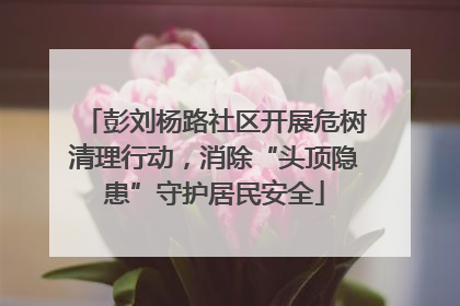 彭刘杨路社区开展危树清理行动，消除“头顶隐患”守护居民安全