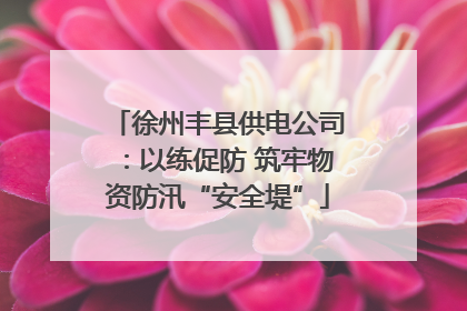 徐州丰县供电公司：以练促防 筑牢物资防汛“安全堤”