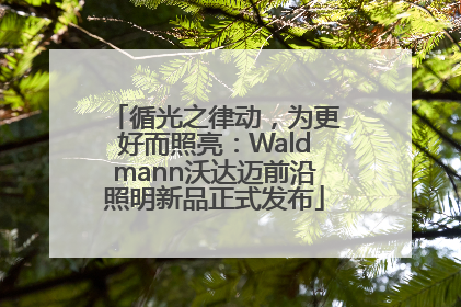 循光之律动，为更好而照亮：Waldmann沃达迈前沿照明新品正式发布