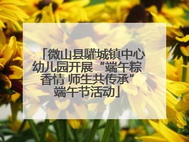 微山县驩城镇中心幼儿园开展“端午粽香情 师生共传承”端午节活动