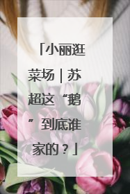 小丽逛菜场｜苏超这“鹅”到底谁家的？