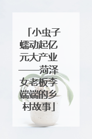 小虫子蠕动起亿元大产业——菏泽女老板李端端的乡村故事