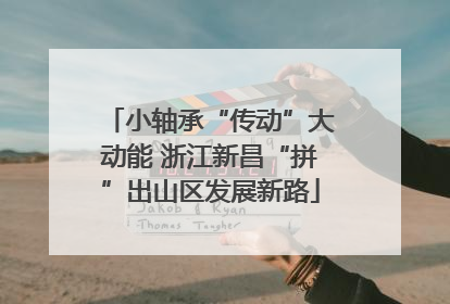 小轴承“传动”大动能 浙江新昌“拼”出山区发展新路