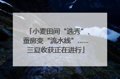 小麦田间“选秀”、蚕房变“流水线”……三夏收获正在进行