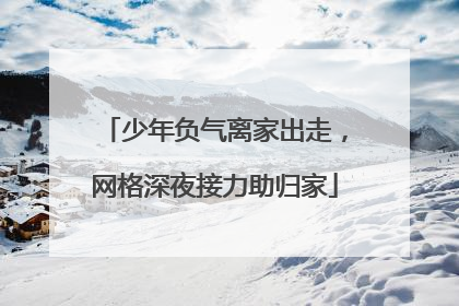 少年负气离家出走，网格深夜接力助归家