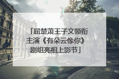 屈楚萧王子文领衔主演《有朵云像你》剧组亮相上影节
