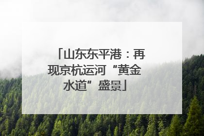 山东东平港：再现京杭运河“黄金水道”盛景