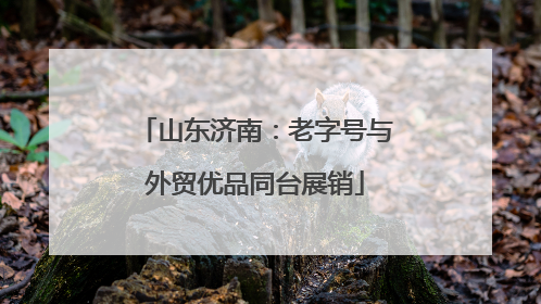 山东济南：老字号与外贸优品同台展销