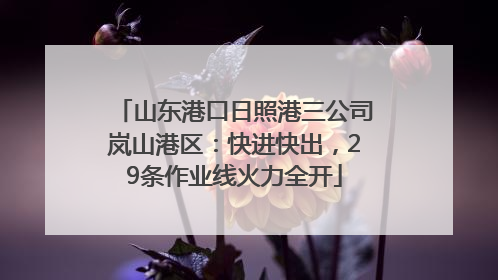 山东港口日照港三公司岚山港区：快进快出，29条作业线火力全开