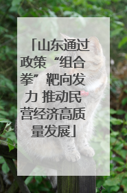 山东通过政策“组合拳”靶向发力 推动民营经济高质量发展