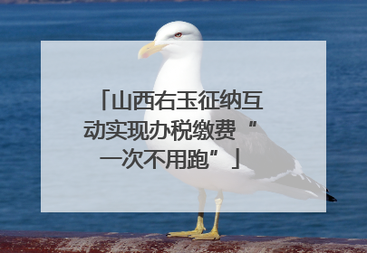 山西右玉征纳互动实现办税缴费“一次不用跑”