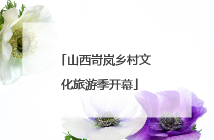 山西岢岚乡村文化旅游季开幕