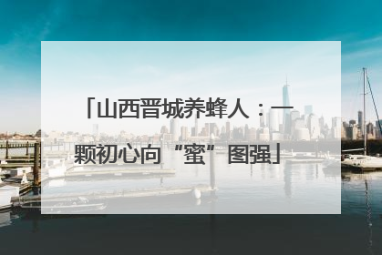 山西晋城养蜂人：一颗初心向“蜜”图强