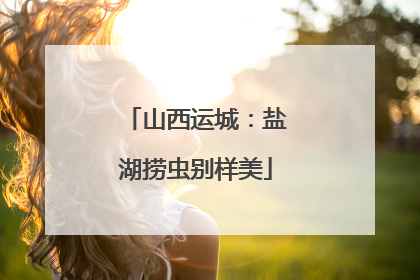 山西运城：盐湖捞虫别样美